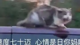  如果把全地图的公路都修复一遍需要多少材料和时间