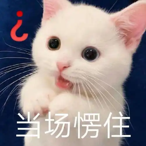  搞笑gif我想做一个很闲很闲的闲鸭蛋,而且还要是富得流油的那种
