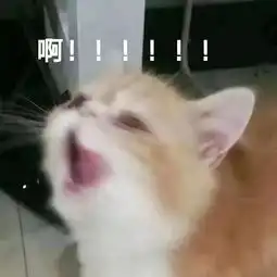  是真的五一连休4天