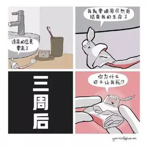搞笑的动图表情包每日一