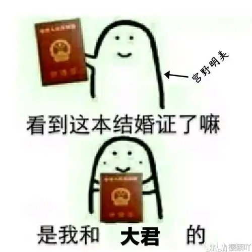  名柯搞笑图cp向兰哀赤安平新快青