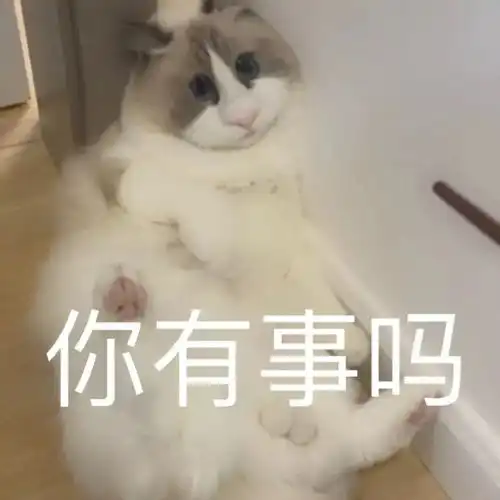  仓鼠猫rookie表情包