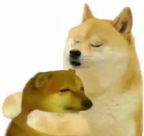  新人逛cp漫展最全攻略看到就是赚到