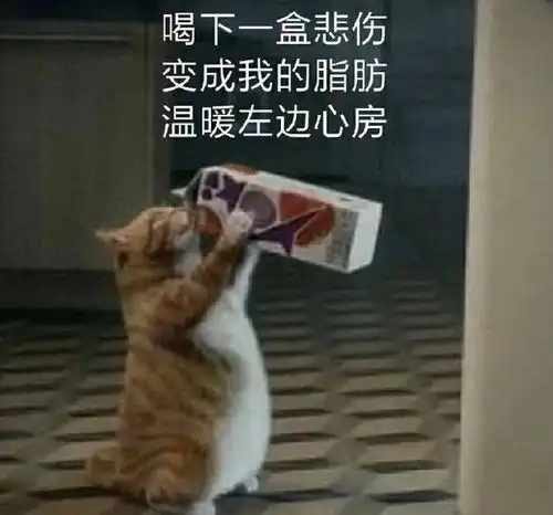  e句话看天下丨家暴男也配晒新女友