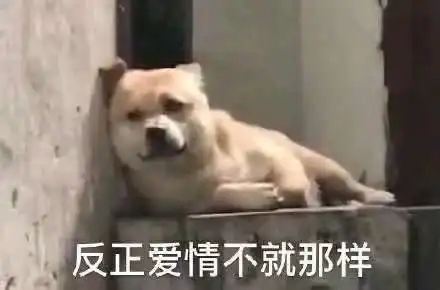  大型沙雕搞笑表情包哈哈