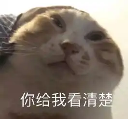  每日表情包别说了,肥猪