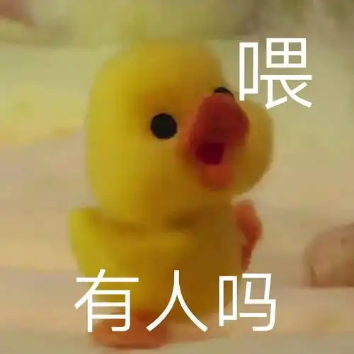 为什么和女朋友打赌我输了她却生气了... 为什么和女朋友打赌我输了她却生气了...