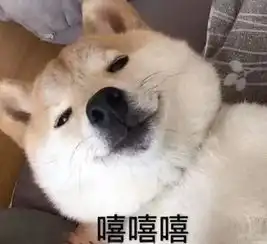  叮咚您有一份神秘礼物,请查收