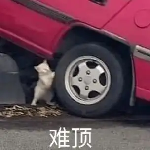  雅思听力填空题做错,一半分没了做对其实很简单