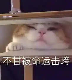 猫沙雕表情包魔性