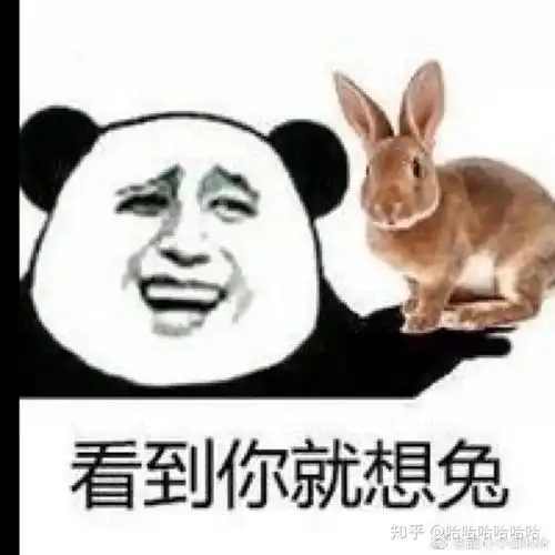  有没有肖战的表情包