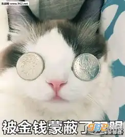  被金钱蒙蔽了双眼表情包被金钱蒙蔽双眼猫咪表情包下载乐游网游戏下载