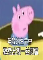  经典