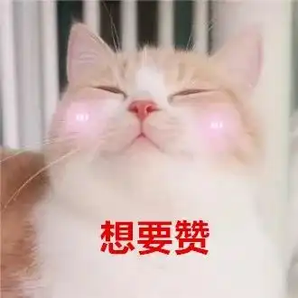  年年过圣诞,我又没有礼物,呜呜呜