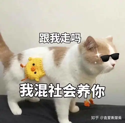  网恋奔现成功的概率有多大