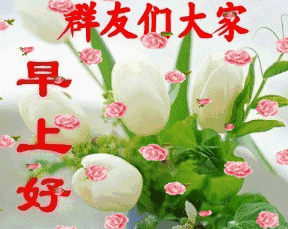  今天是1月8,太美太罕见了,送给群里的每一位朋友