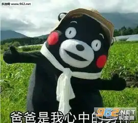 父亲的身影表情包猜错