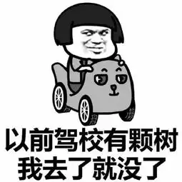  学车吗,跟段子手教练斗智斗勇的那种