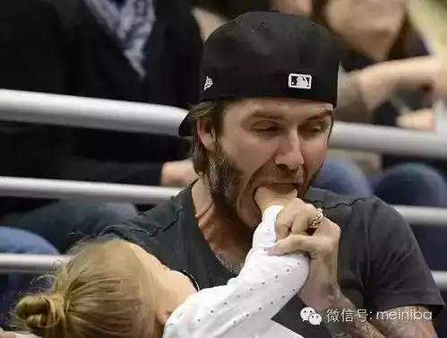 小七哈珀表情包大卫·贝