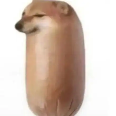  刷屏几亿人表情包的柴犬cheems,是如何火爆网络的