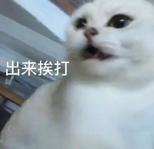  qswlqswl吾夫甚美里女主小姑姑太惨...
