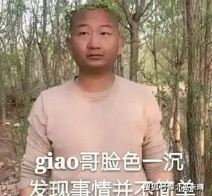 giao的表情包李子柒