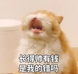  喵星人给你丢了个表情包你算哪块小饼干