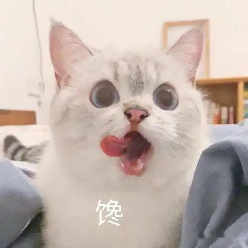  11月19日表情包合集