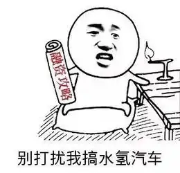  被工信部diss的庞青年拿了50亿投资,融资能力贾跃亭看了都会流泪