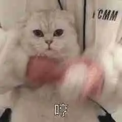  牛仔裤过时了这20条裤子更美更高级