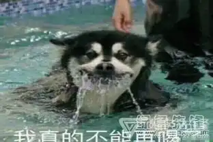 山羊吐舌头动图qq表情包山羊吐舌头表情素材v1.0最新版 山羊吐舌头动图qq表情包山羊吐舌头表情素材v1.0最新版