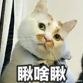  楼楼,下次跑得再快点