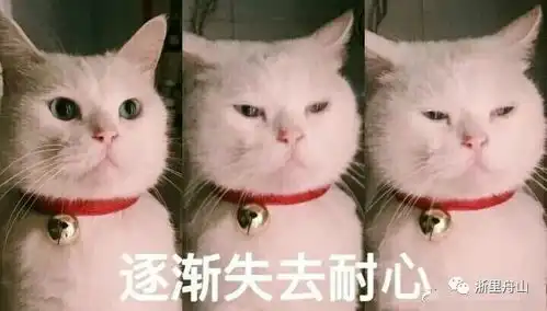  温比亚预计今晚登陆或穿过舟山暴雨和11级大风来了,影响甚至大过
