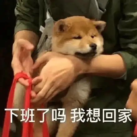  沙雕表情瞧你这个弟弟样