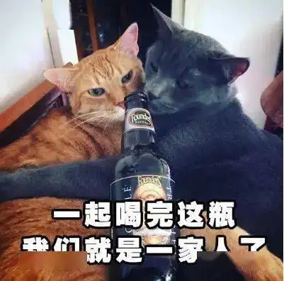 加菲猫表情包小视频喝酒