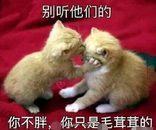 周杰伦变胖了粉丝们议论纷纷各抒己见 周杰伦变胖了粉丝们议论纷纷各抒己见