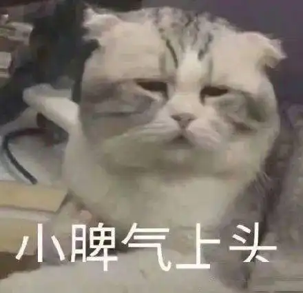  沙雕表情爱情是最不靠谱的东西