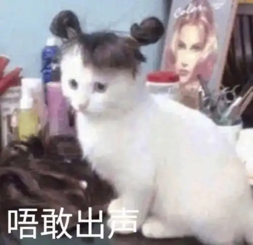  趁这个热度,想问问大家是因为什么反感mxtx的