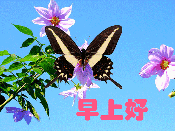 微信早上好问候语图片带字祝福早上好的温馨句子 微信早上好问候语图片带字祝福早上好的温馨句子