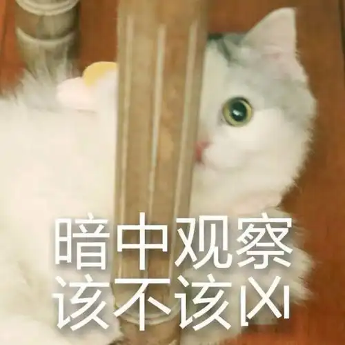 雨雨雨雨雨达州这周的天气太扎心了 雨雨雨雨雨达州这周的天气太扎心了