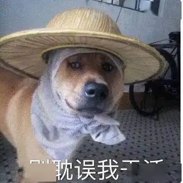  沙雕表情沙雕狗表情包第二弹
