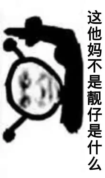 生气熊猫表情包动图怀里