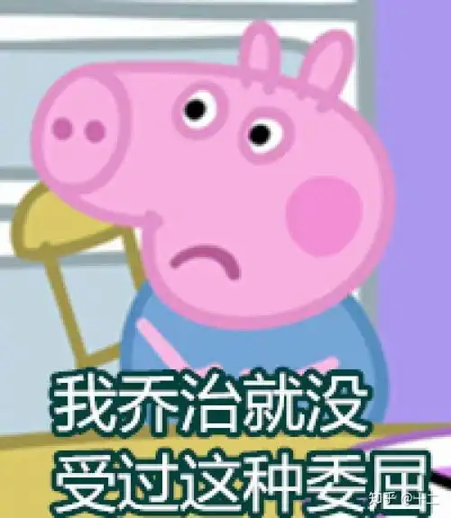 求小饼干表情包大全小猪