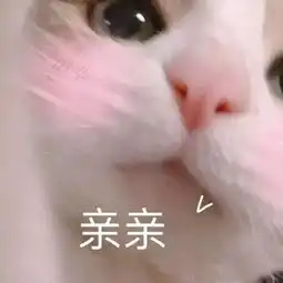  怎样选到一条时尚保暖又瘦腿的打底裤
