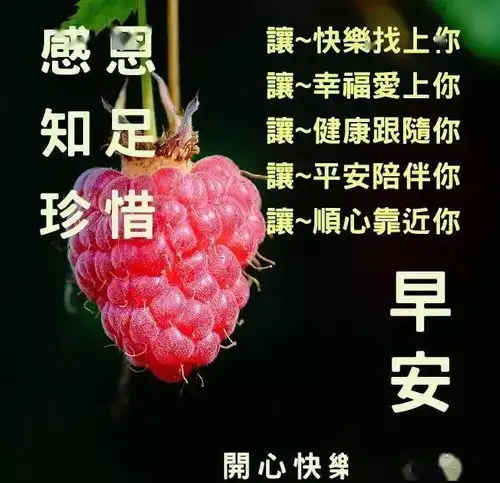  聊天不用打字的图片,心语无声,却很甘甜问侯平常,却很温暖