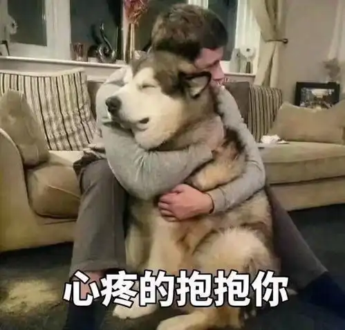  热巴因用蔡徐坤表情包道歉,分享一些沙雕实用的朋友圈微博文案