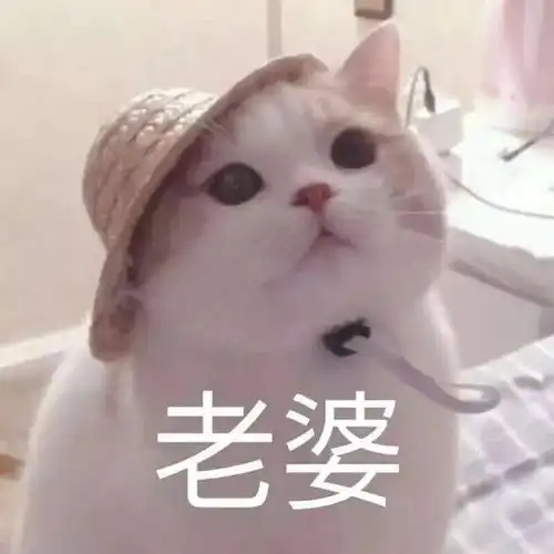  哄女朋友的表情包,兄弟们赶紧收藏保命