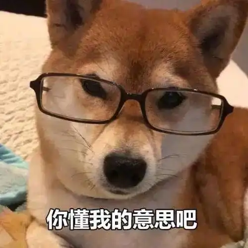 柴犬表情包图片我不管