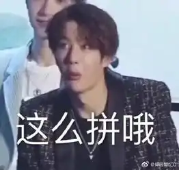  傅园慧怒怼背后捅刀子者配图王一博表情包亮了