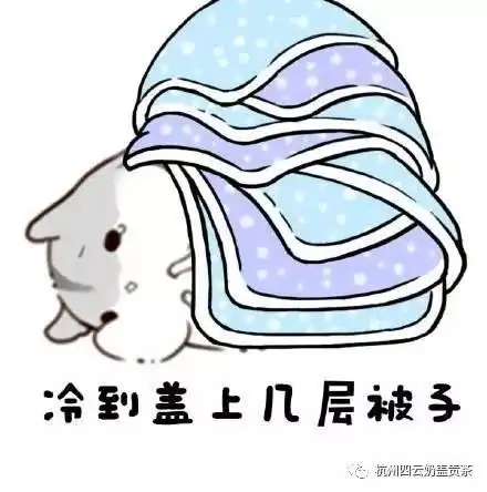  新品你需要一份有温度的爱